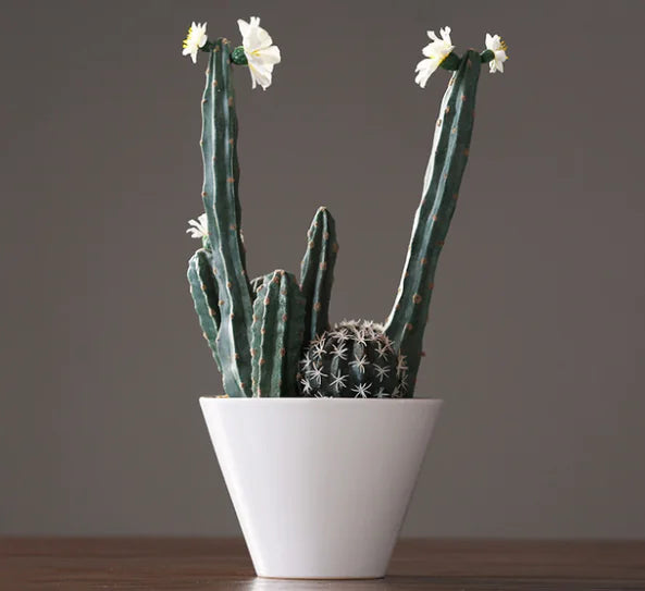 Nordic Faux Plant Cactus Decorative Potted Accent
