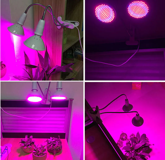 Red and Blue LED Grow Light for Plants and Vegetables