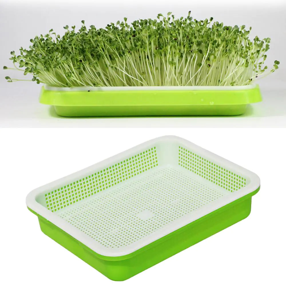 Double Layer Planting Tray for Sprouts and Seedlings
