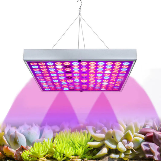 Full Spectrum Plant Grow Light for Seedlings and Flowers
